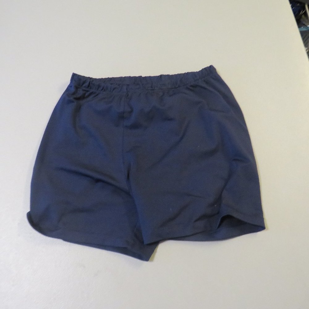 Blue Mizuno Athletic Shorts Size Large
